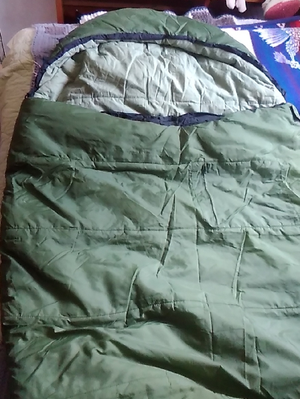 Green Quilted Sleeping Bag